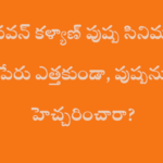 పవన్ కళ్యాణ్ కామెంట్స్ పుష్పపైనా?