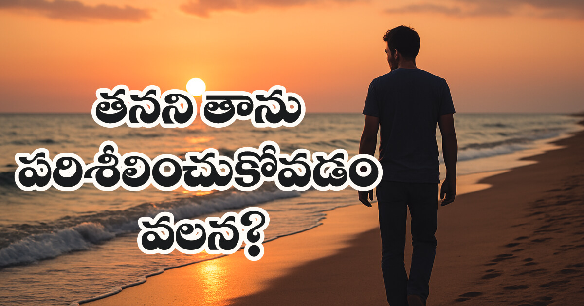 Read more about the article స్వీయ సమీక్ష ఎందుకు అవసరం