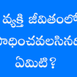 వ్యక్తి జీవితంలో సాధించవలసినది ఏమిటి?