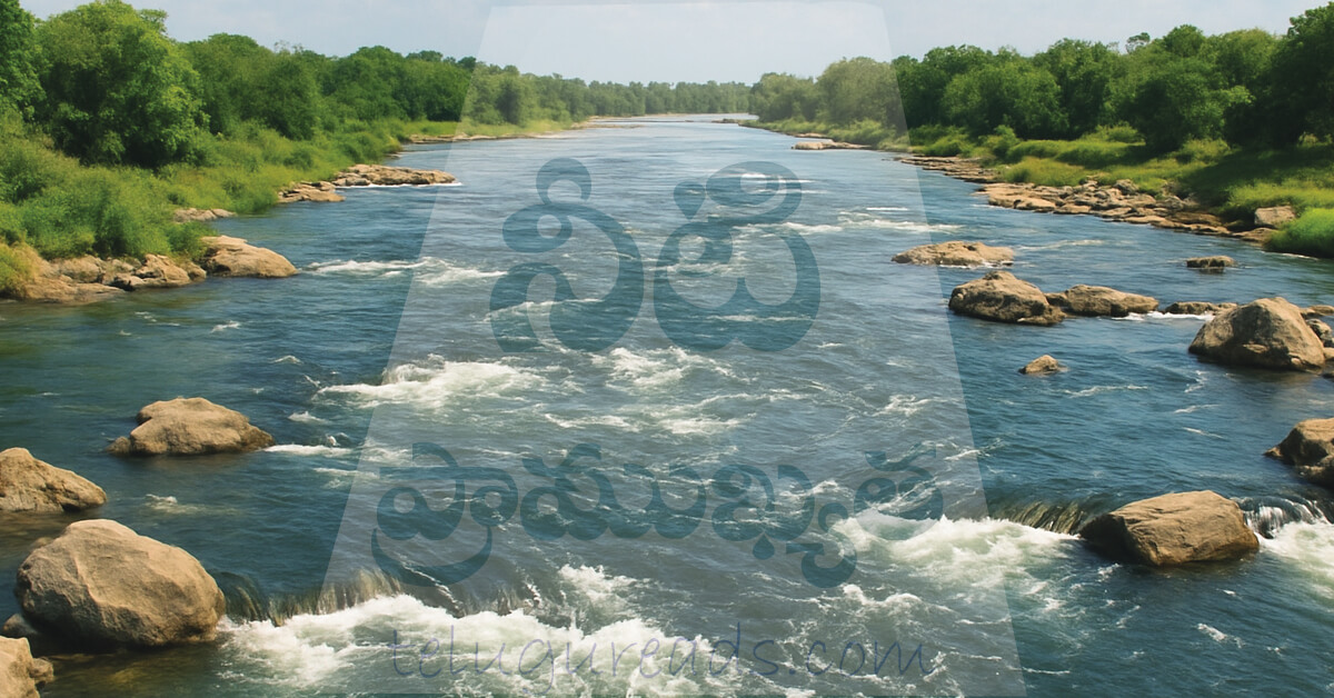 Read more about the article నీటి ప్రాముఖ్యత తెలుపుతూ వ్యాసం రాయండి.